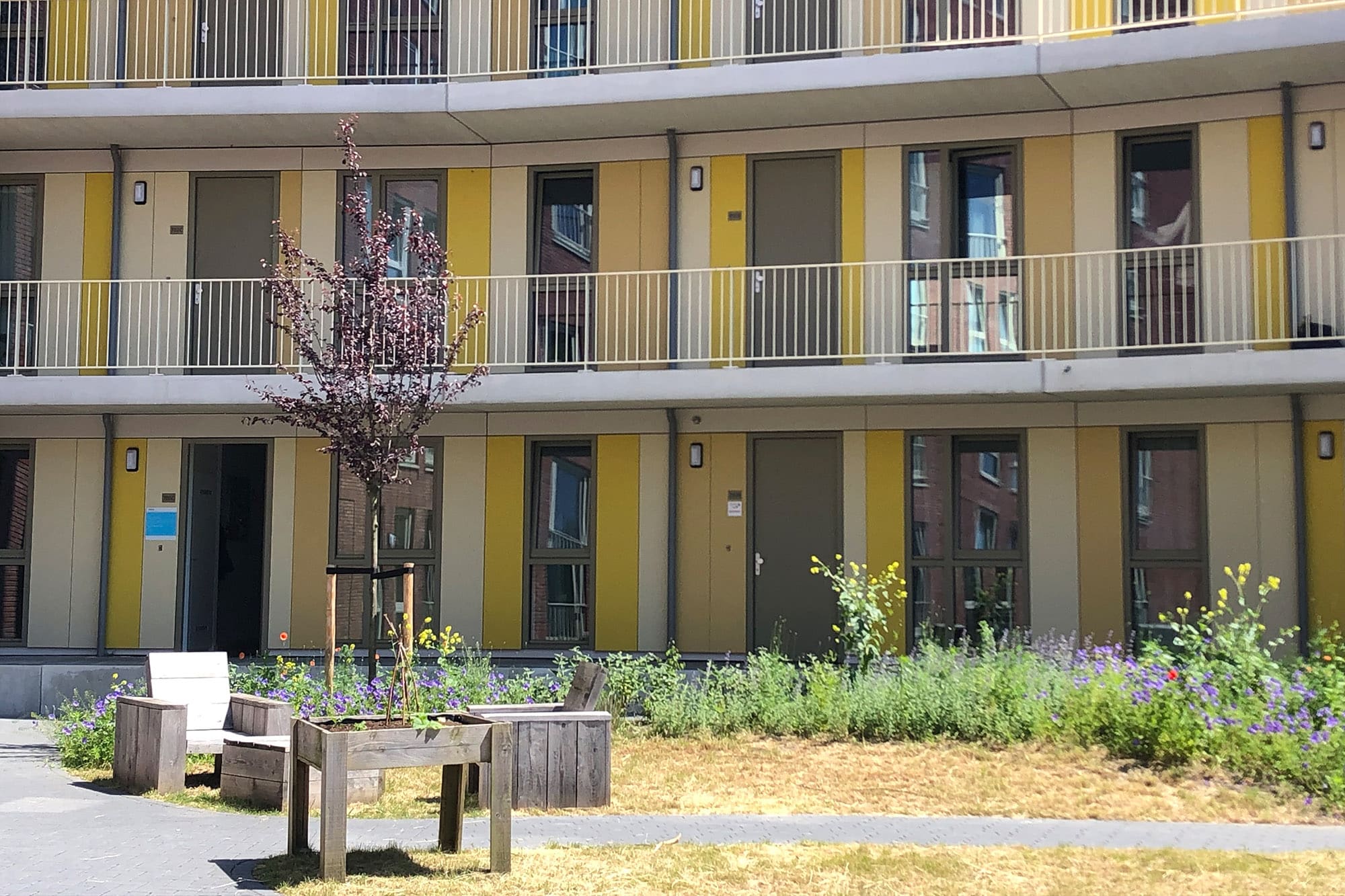 Lister Romulus - Woningen