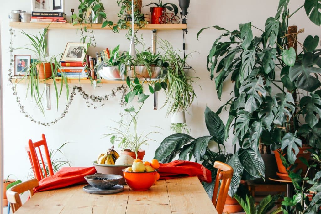 Eettafel met oranje stoelen en planten op de achtergrond